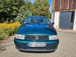 Grün Gebraucht 1998 VW Polo Kleinwagen | 1.550 € (Etwas zu teuer)