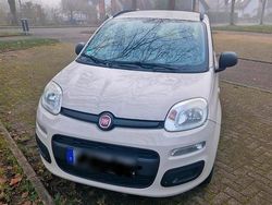 Beige Gebraucht 2013 Fiat Panda Kleinwagen | 6.000 €