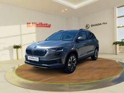 Grau Gebraucht 2025 Skoda Karoq Tour SUV | 38.900 € (Teuer)