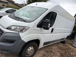 Weiß Gebraucht 2019 Fiat Ducato Van | 12.600 € (Fairer Preis)