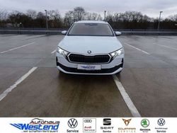 Moonweiß Gebraucht 2025 Skoda Octavia Selection Kombi | 34.900 € (Fairer Preis)