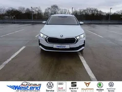 Moonweiß Gebraucht 2025 Skoda Octavia Selection Kombi | 34.900 € (Fairer Preis)