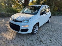 Weiß Gebraucht 2016 Fiat Panda Kleinwagen | 6.900 € (Fairer Preis)