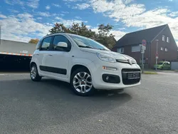 Beige Gebraucht 2012 Fiat Panda Kleinwagen | 4.299 € (Fairer Preis)
