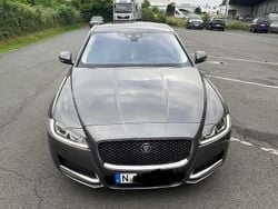 Grau Gebraucht 2016 Jaguar XF Prestige Limousine | 14.500 €