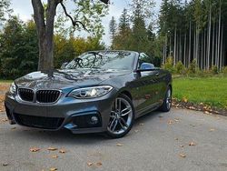 Silber Gebraucht 2015 BMW 220 M Sport Cabrio | 17.999 € (Fairer Preis)