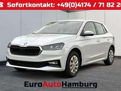 Moonweiß perleffekt Neu 2025 Skoda Fabia Selection Kleinwagen | 20.240 € (Fairer Preis)