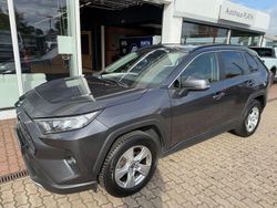 Grau Gebraucht 2019 Toyota RAV4 Comfort SUV | 29.590 € (Teuer)