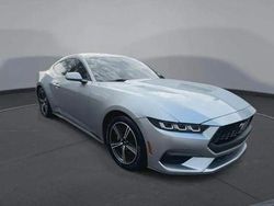 Silber Gebraucht 2024 Ford Mustang Fastback Coupé | 37.999 €