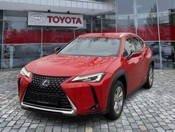 Rot Gebraucht 2021 Lexus UX 250h SUV | 23.990 € (Guter Preis)