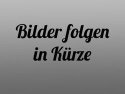 Gelb Neu 2025 Dacia Sandero Extreme Van / Kleinbus | 20.730 €