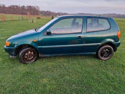 Grün Gebraucht 1997 VW Polo Kleinwagen | 350 € (Superpreis)