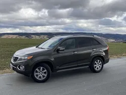 Braun Gebraucht 2012 Kia Sorento Vision SUV | 9.500 € (Fairer Preis)