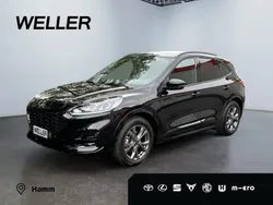 Schwarz Gebraucht 2024 Ford Kuga ST-Line SUV | 27.880 € (Guter Preis)