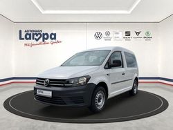 Weiss Gebraucht 2019 VW Caddy Basis Van / Kleinbus | 17.890 € (Etwas zu teuer)