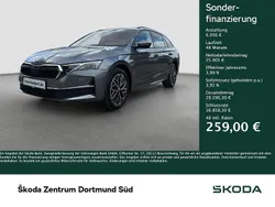 Grau Gebraucht 2024 Skoda Octavia Selection Kombi | 31.961 € (Guter Preis)