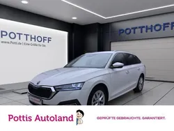 Weiss Gebraucht 2023 Skoda Octavia Style Kombi | 23.977 € (Guter Preis)