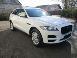Weiß Gebraucht 2017 Jaguar F-Pace SUV | 18.499 € (Superpreis)