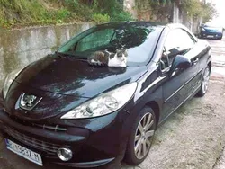 Schwarz Gebraucht 2008 Peugeot 207 CC Roland Garros Cabrio | 3.800 € (Teuer)