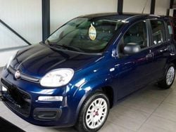 Blau Gebraucht 2019 Fiat Panda Kleinwagen | 8.500 € (Fairer Preis)