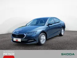 Grau Gebraucht 2021 Skoda Octavia Active Limousine | 20.980 € (Fairer Preis)