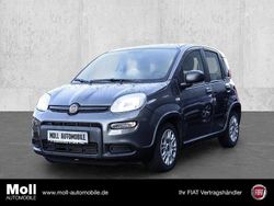 Grau Gebraucht 2023 Fiat Panda Limousine | 12.290 € (Fairer Preis)