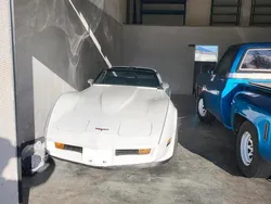 Weiß Gebraucht 1980 Corvette C3 | 19.900 €