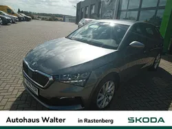 Grau Gebraucht 2023 Skoda Scala Style Kleinwagen | 22.490 € (Etwas zu teuer)