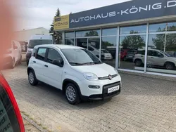 Weiß Gebraucht 2025 Fiat Panda Kleinwagen | 15.089 € (Fairer Preis)