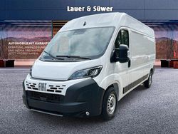 Weiß Neu 2025 Fiat Ducato Van | 37.592 € (Fairer Preis)