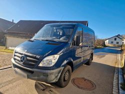 Blau Gebraucht 2009 Mercedes Sprinter Van | 7.777 € (Superpreis)