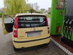 Gelb Gebraucht 2009 Fiat Panda Kleinwagen | 2.600 € (Etwas zu teuer)