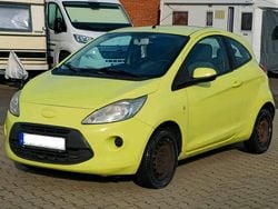 Grün Gebraucht 2010 Ford Ka Trend Kleinwagen | 1.600 € (Guter Preis)