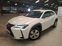 Weiß Gebraucht 2022 Lexus UX 250h Luxury Line SUV | 24.871 € (Etwas zu teuer)