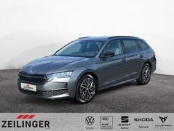 Grau Gebraucht 2024 Skoda Octavia SportLine Kombi | 31.845 € (Guter Preis)