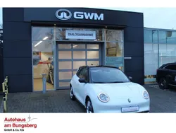 Weiß Neu 2024 Ora 03 Pro+ Limousine | 33.990 € (Etwas zu teuer)