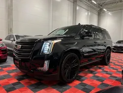 Gebraucht 2020 Cadillac Escalade SUV | 53.990 € (Superpreis)