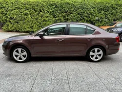 Braun Gebraucht 2013 Skoda Octavia Elegance Limousine | 8.980 € (Guter Preis)