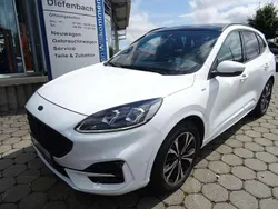 Frostweiß Gebraucht 2020 Ford Kuga ST-Line SUV | 23.900 € (Etwas zu teuer)