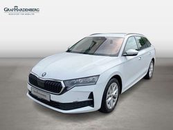 Weiß Gebraucht 2024 Skoda Octavia Selection Kombi | 28.810 € (Guter Preis)