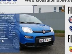 Blau Gebraucht 2024 Fiat Panda Kleinwagen | 13.490 € (Fairer Preis)