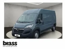 Tauben grau Gebraucht 2023 Opel Movano Van | 34.950 € (Teuer)