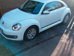 Weiß Gebraucht 2014 VW Beetle Cup Limousine | 8.950 € (Fairer Preis)