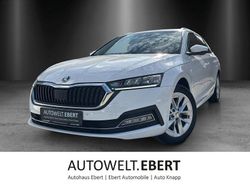 Candyweiss Gebraucht 2023 Skoda Octavia Style Kombi | 24.690 € (Fairer Preis)