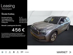 Grau Gebraucht 2024 Skoda Kodiaq Selection SUV | 43.930 € (Guter Preis)