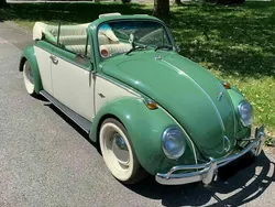 Grün Gebraucht 1970 VW Käfer Cabrio | 48.000 €