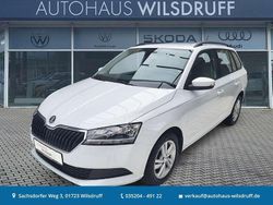 Moonweiss metallic Gebraucht 2022 Skoda Fabia Ambition Kleinwagen | 13.280 € (Guter Preis)