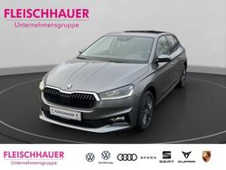 Graphitegrau metallic Neu 2024 Skoda Fabia Tour Kleinwagen | 26.490 € (Etwas zu teuer)