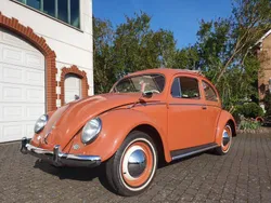 Orange Gebraucht 1956 VW Käfer Limousine | 49.500 €