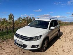 Weiß Gebraucht 2015 VW Tiguan Sportline SUV | 12.500 € (Fairer Preis)